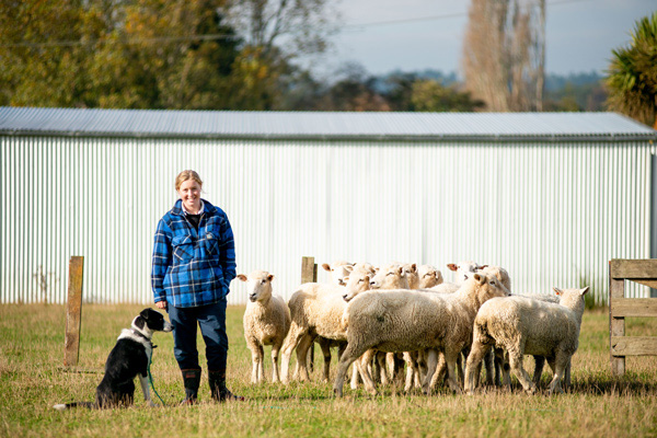 Students working with livestock and machinery