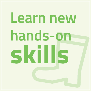 Learn new skills